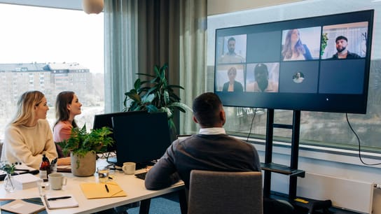 Employees having a video conferencing