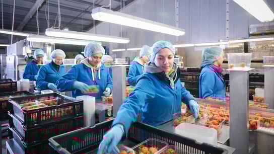 workers in warehouse