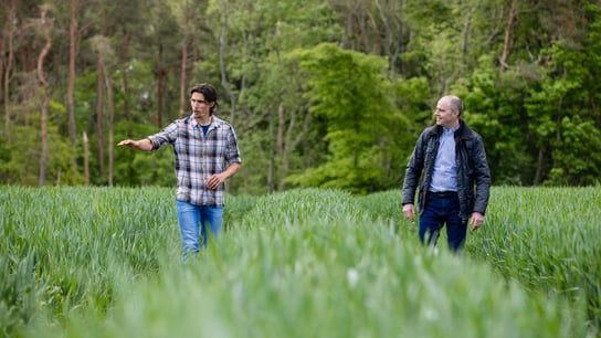 A farmer walking through tramlines in the wheat field on his sustainable farm in Embleton, North East England with a land agent. 