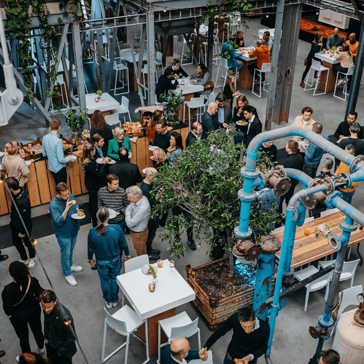 Projective Group meeting