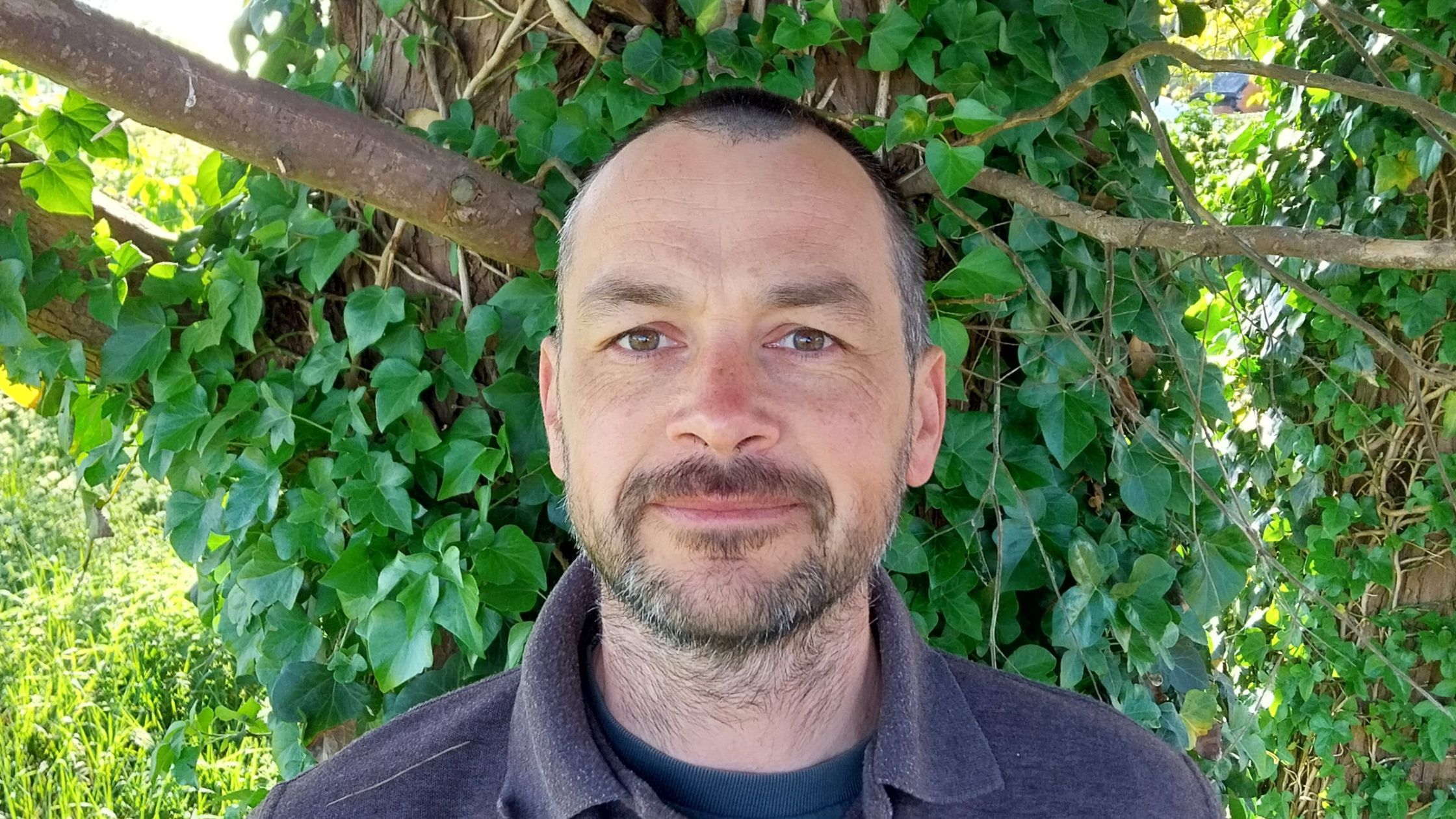 Site settings placeholder